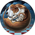 Rounded Basset